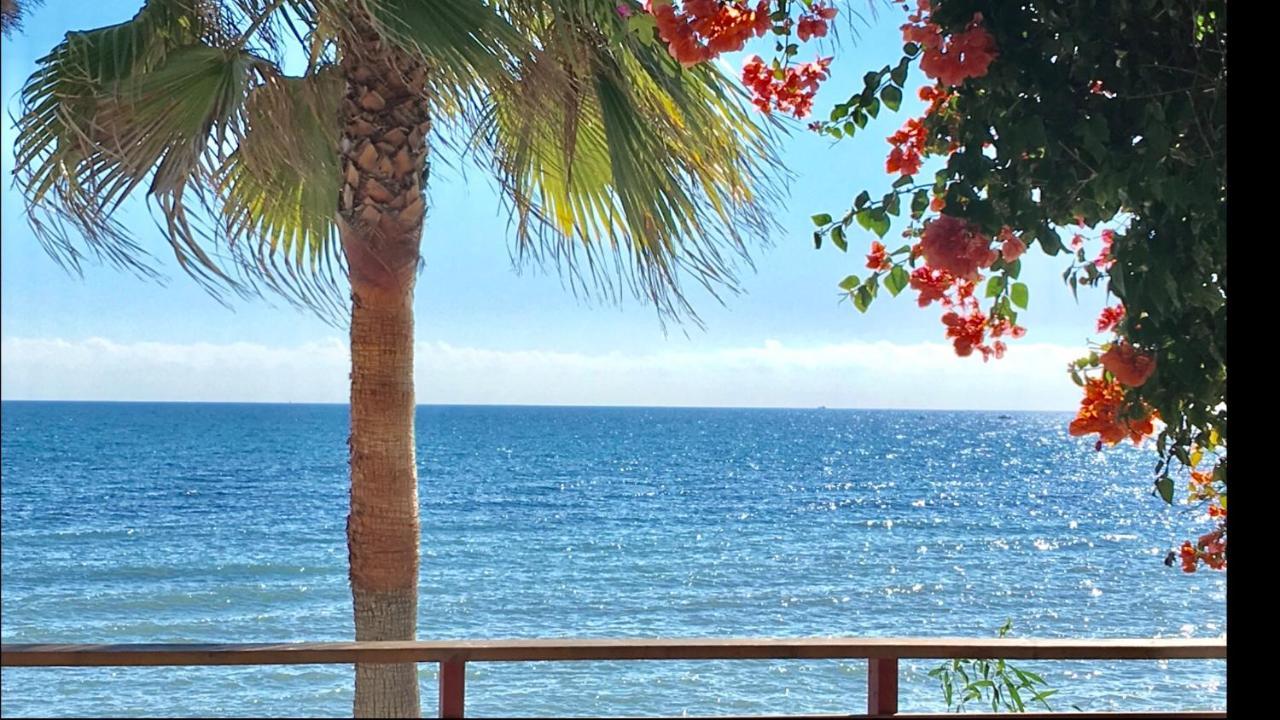 Mi Capricho 4C Beachfront -Apartment With Sea View - Costa Del Sol Sitio de Calahonda Bagian luar foto